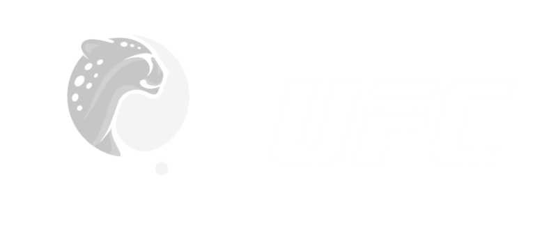 Playtika and UFC logos